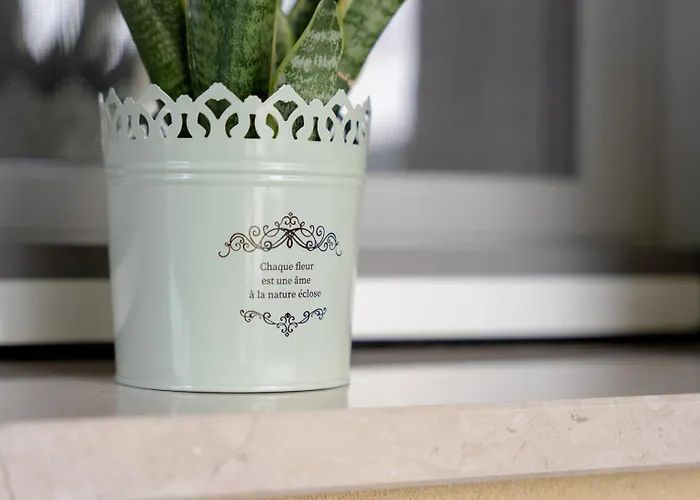 게스트하우스 Il Castagno 바스토