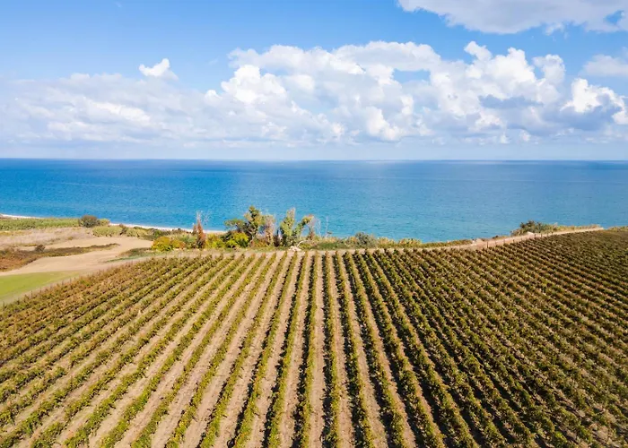 게스트하우스 Il Castagno