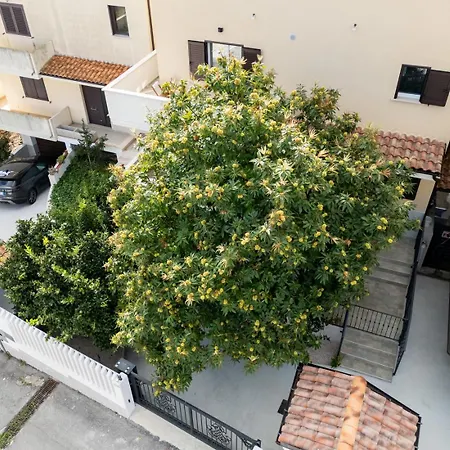 Guest house Il Castagno